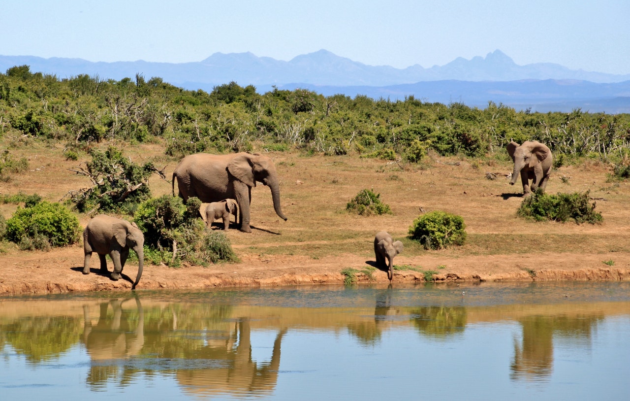 Promotion de la qualité de l’eau en Afrique